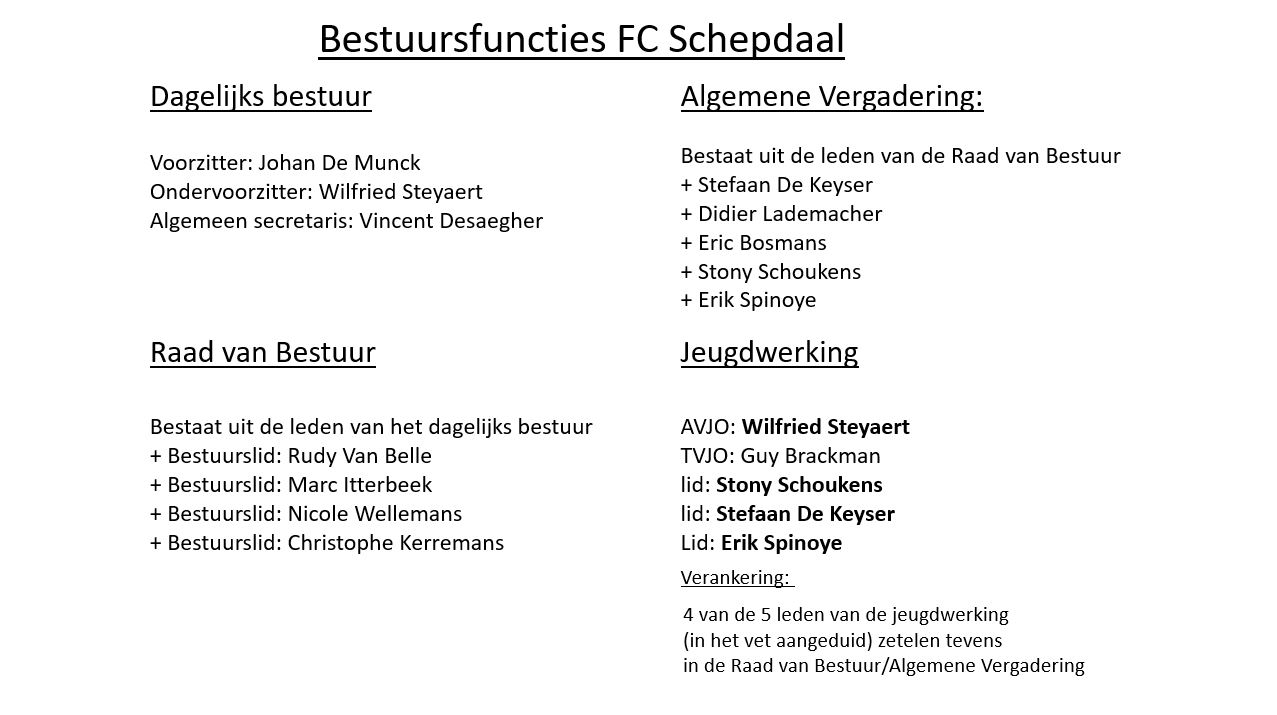Bestuursfunties